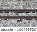 【鉄道】線路上のレールとバラスト・古びた枕木 100493520