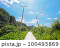 A secluded rural neighborhood in Southeast Asia 100493869