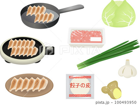 餃子の材料セット 餃子の材料セット 100493950