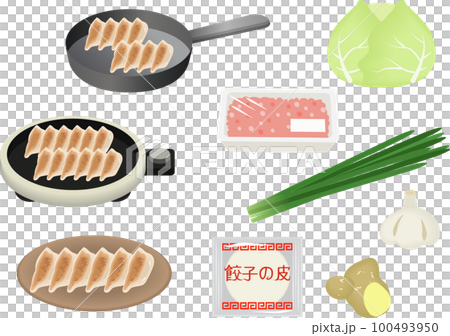 餃子の材料セット 餃子の材料セット 100493950