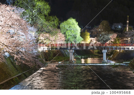 220412中橋夜桜g093 100495668