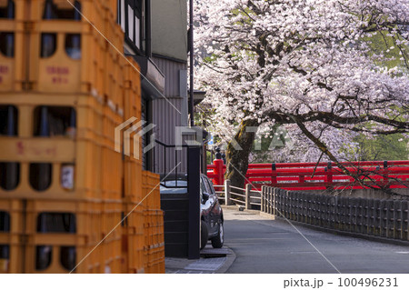 220413中橋桜g070 220413中橋桜g070 100496231