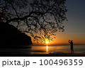 Man taking picture of sunset, beautiful red sky with the shadow of a big tree on the beach 100496359