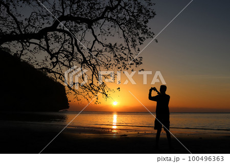 Man taking picture of sunset, beautiful red sky with the shadow of a big tree on the beach 100496363