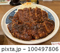 今日のトンカツ 100497806
