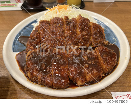 今日のトンカツ 100497806
