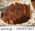 今日のトンカツ 100497807
