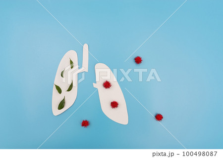 Lungs affected by virus 100498087