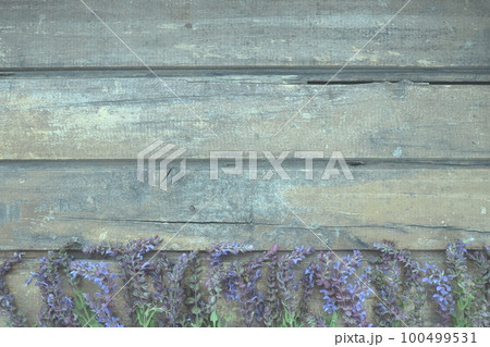 Lavender and sage flowers on a wooden table close-up. Horizontal planks of dark old wood with purple and blue flowers and leaves around the edges. Still life and flat lay. Free copy space for text 100499531