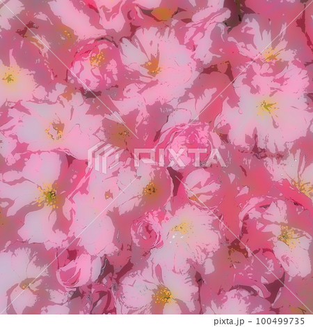 Pink flowers cherry sakura background. Flower wall illustration. Soft selective focus. Holiday postcard. Pink petals and yellow stamens.Prunus serrulata background. Blurry art. Spring cherry blossom 100499735