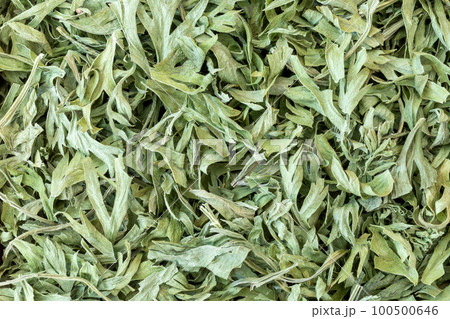A pile of dried carrot tops leaves texture, Daucus carota, top view, macro. A pile of dried carrot tops leaves texture, Daucus carota, top view, macro. 100500646