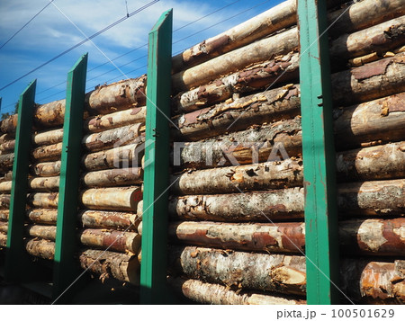 cargo timber train. Open train carriage with a bundle of timber for export. Deforestation and ecology. Transportation of goods by rail. Business logistics. Green steel restraints. Illegal logging. 100501629