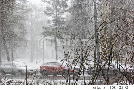 View of an empty snow-covered city street during a snowfall. Snow road. Fresh white snow  100503989