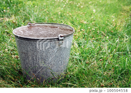 Bucket full of rainwater standing on green grass Bucket full of rainwater standing on green grass 100504558