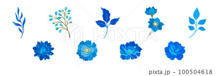 Blue Flowers and Floral Leafy Twigs Decorative Elements Vector Set Blue Flowers and Floral Leafy Twigs Decorative Elements Vector Set 100504618