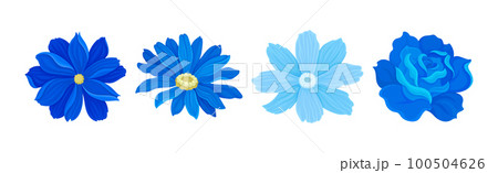 Blue Flowers and Floral Open Buds Decorative Element Vector Set 100504626