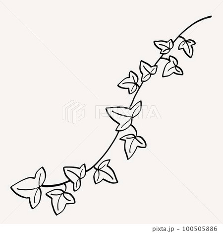 Floral ivy drawing decorative ornament flat design. 100505886