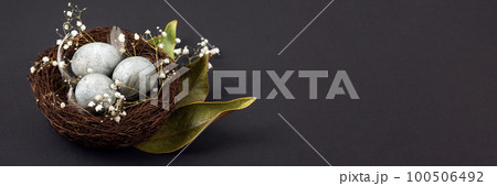 Brown nest of twigs with three gray Easter eggs, feathers, dried magnolia leaves and sprigs of gypsophila on black background. Minimalistic Easter concept. Banner Brown nest of twigs with three gray Easter eggs, feathers, dried magnolia leaves and sprigs of gypsophila on black background. Minimalistic Easter concept. Banner 100506492