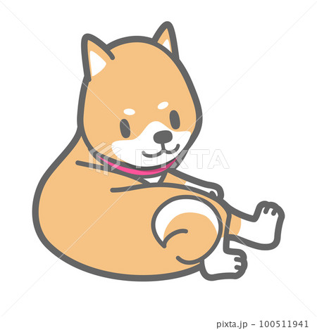 リラックス中の柴犬のベクターイラスト リラックス中の柴犬のベクターイラスト 100511941