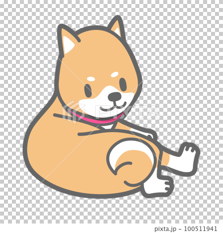 リラックス中の柴犬のベクターイラスト リラックス中の柴犬のベクターイラスト 100511941