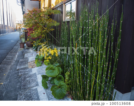 京の小径 100513608