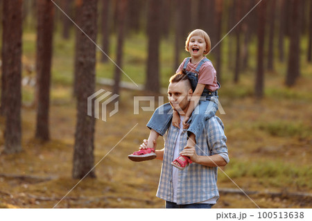 Dad and his daughter are walking along a forest road among tall pines. 100513638