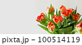 Peony-shaped terry orange-red tulip flowers bouquet banner close up on white background Peony-shaped terry orange-red tulip flowers bouquet banner close up on white background 100514119