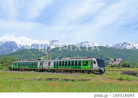 大糸線 初夏の白馬山麓を行くリゾートビューふるさと 大糸線 初夏の白馬山麓を行くリゾートビューふるさと 100518093