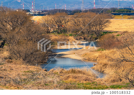 早春の入間川の河川敷 枯れ木と橋と送電鉄塔　暖色寒色強調 100518332