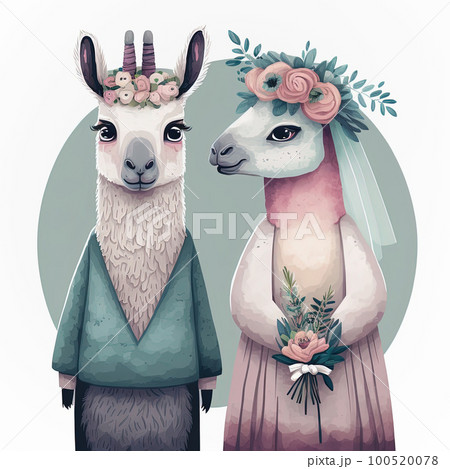 Two llamas bride and groom. Lovely wedding couple. Two cute animals Just Married concept 100520078