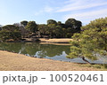 六義園 100520461