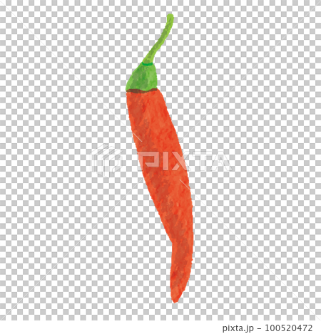 辣椒香料手繪插圖 辣椒香料手繪插圖 100520472