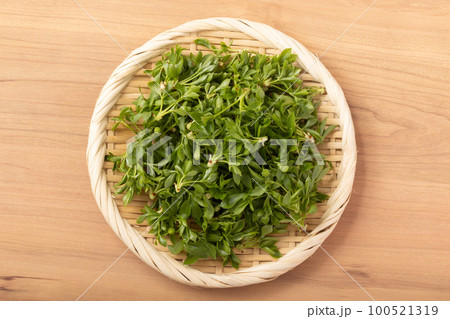 山形県寒河江市産　姫うこぎ 100521319