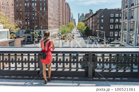 New york City lifestyle. Young professional woman in cute dress standing on New York High Line Park enjoying view of city while contemplating her next move 100521361
