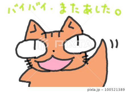 目が大きい猫のバイバイ 100521389