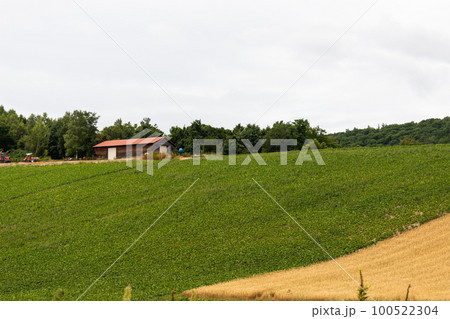 北海道上富良野町の夏の風景 北海道上富良野町の夏の風景 100522304
