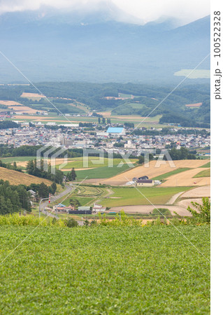 北海道上富良野町の日の出公園からの風景 100522328
