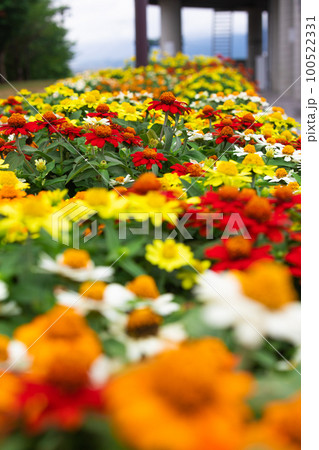 北海道上富良野町の日の出公園からの風景 100522331