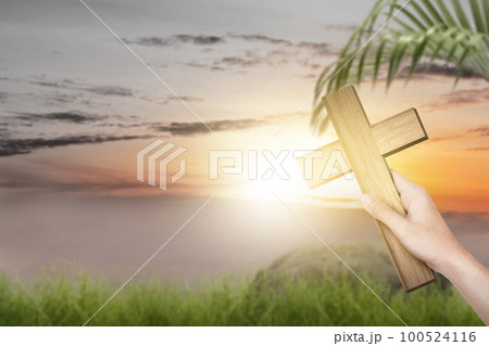 Palm Sunday 100524116