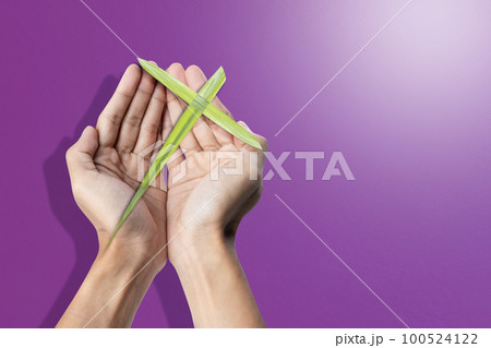Palm Sunday Palm Sunday 100524122
