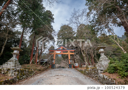 日吉大社西本宮　山王鳥居　滋賀県大津市 100524379
