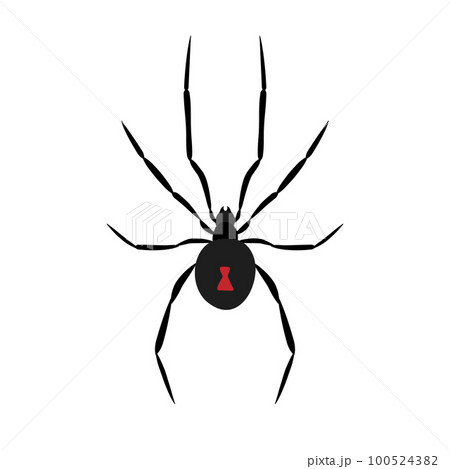 Vector flat hand drawn spider Vector flat hand drawn spider 100524382