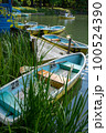 公園のボート 100524390