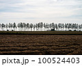 十勝の農業 100524403