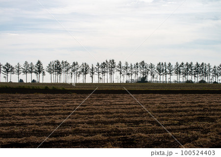 十勝の農業 100524403