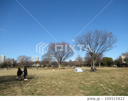 木場公園 100525622