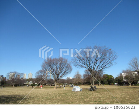 木場公園 100525623