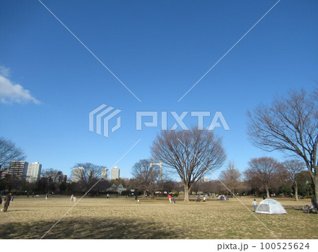 木場公園 100525624