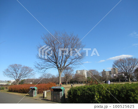 木場公園 100525625