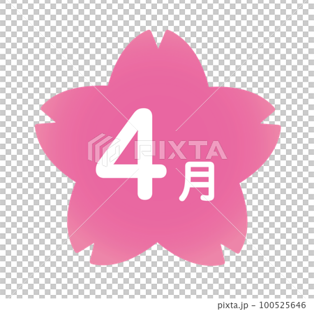 4月，祝賀你入學，祝賀你入學，入學，入學儀式，粉紅色，一年級生，花，一年級新生，櫻花，sa 100525646